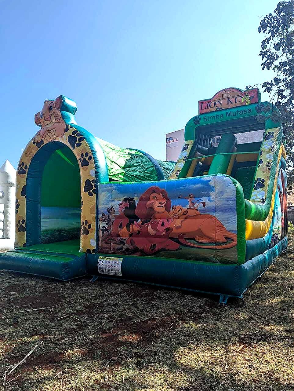 Lion King Jungle Theme for Hire for hire at kids birthday party in Nairobi - view 3