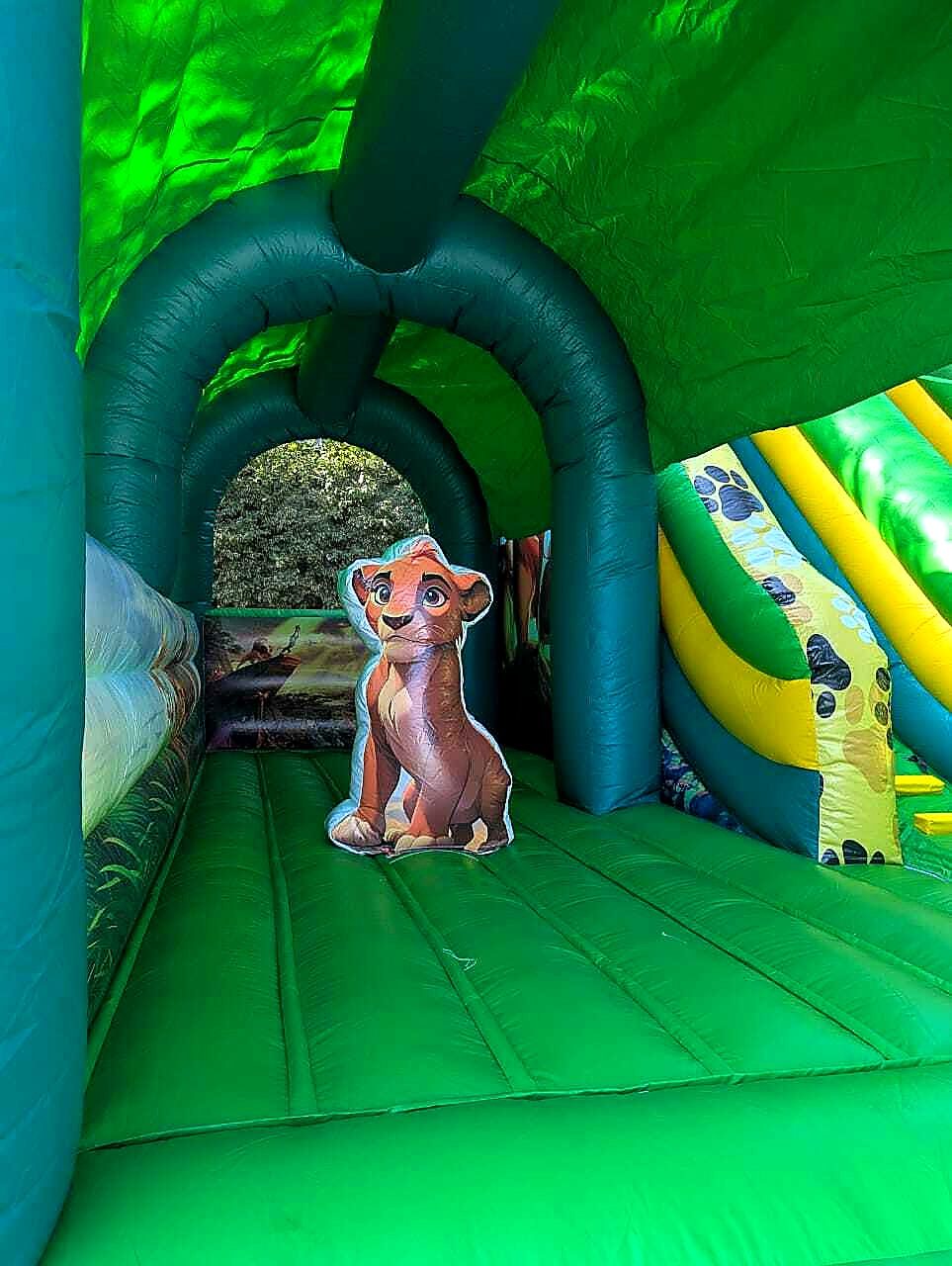 Lion King Jungle Theme for Hire for hire at kids birthday party in Nairobi - view 5