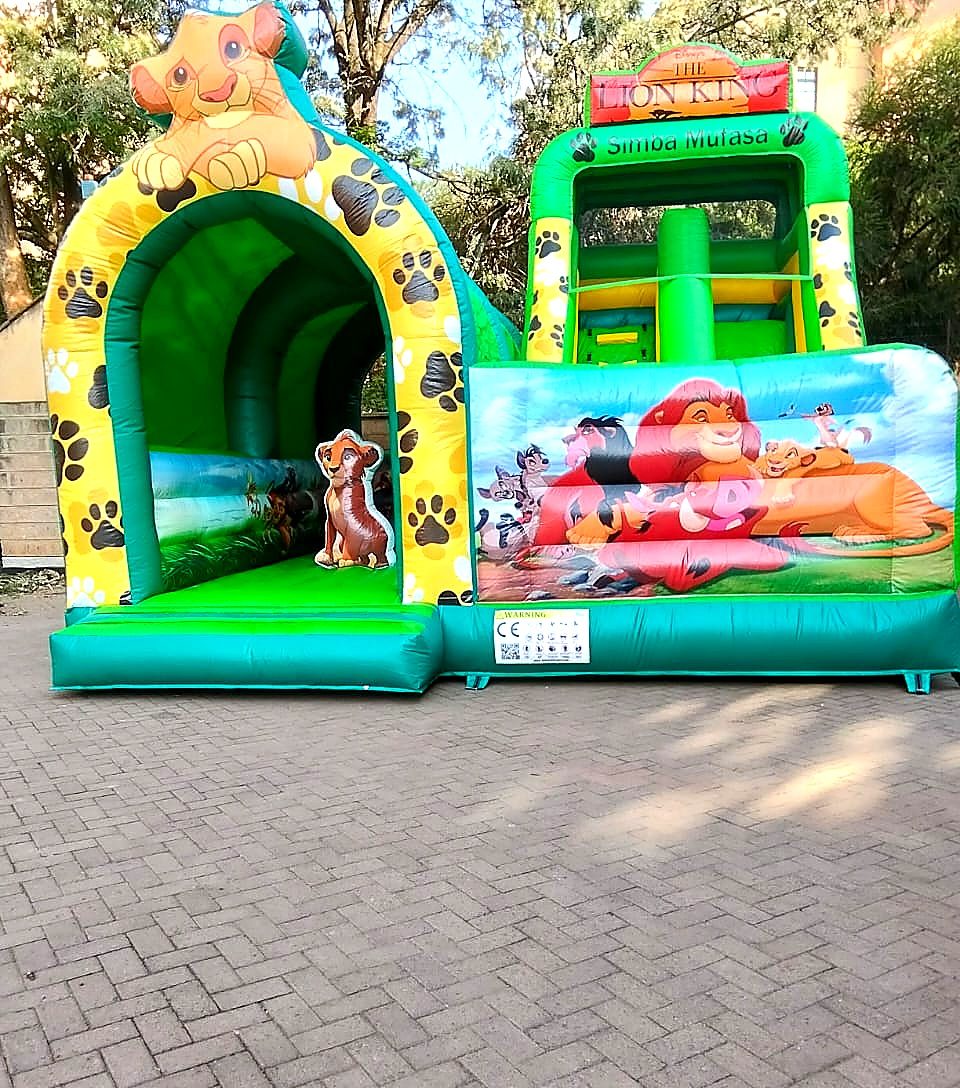 Lion King Jungle Theme for Hire for hire at kids birthday party in Nairobi