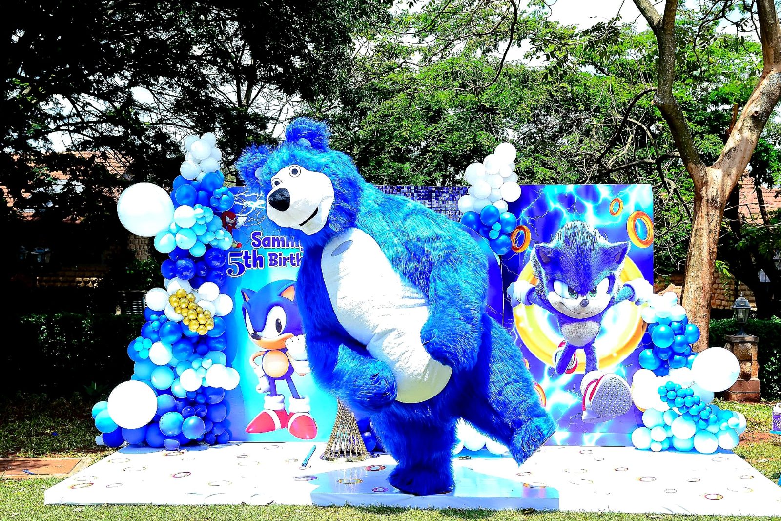 Mascots for Hire for hire at kids birthday party in Nairobi - view 3