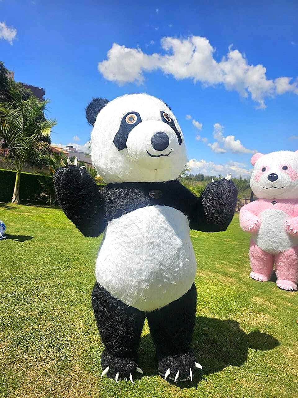 Mascots for Hire for hire at kids birthday party in Nairobi - view 4