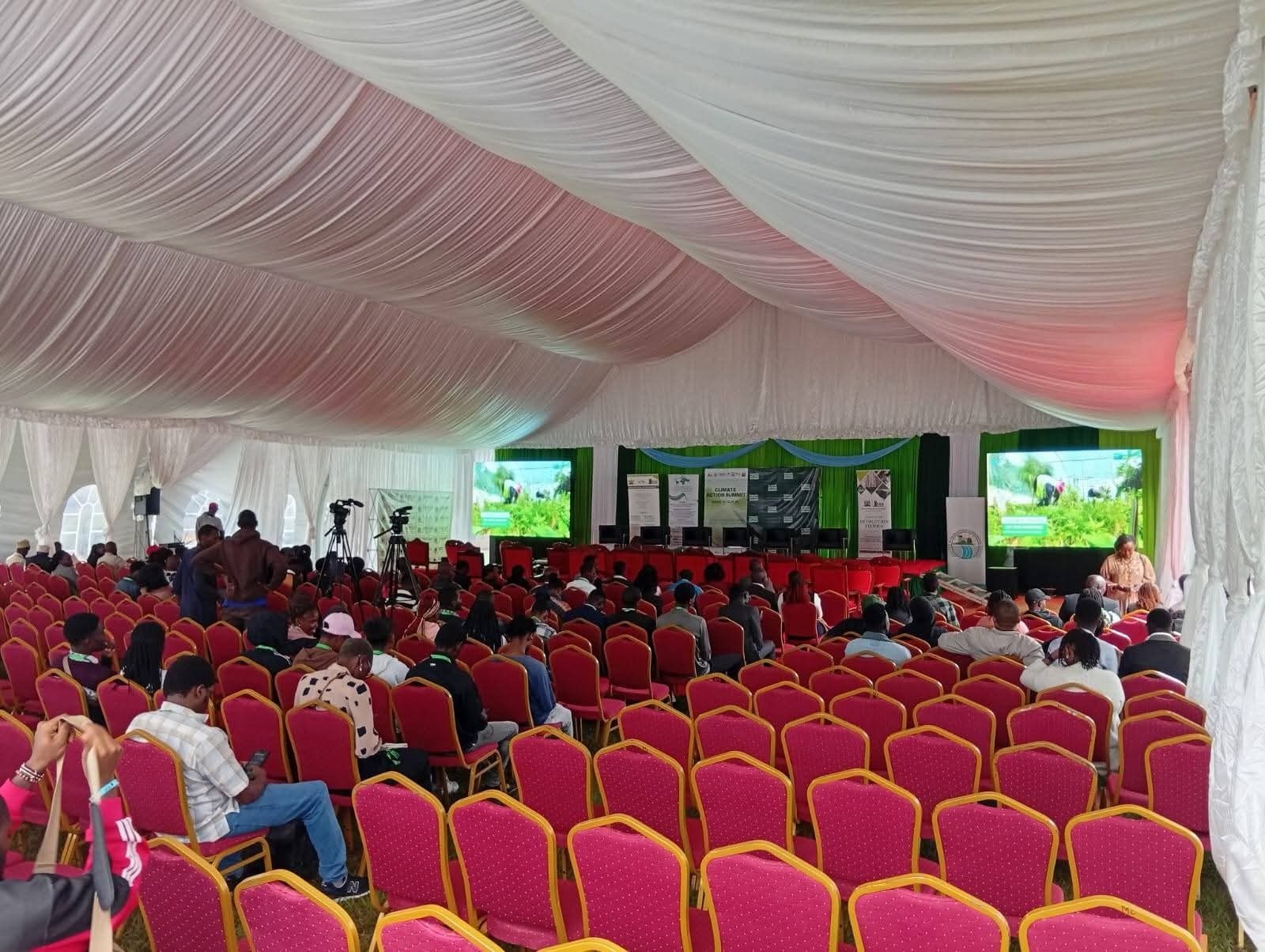 Banquet Chairs for Hire for a kids birthday party in Nairobi - view 6