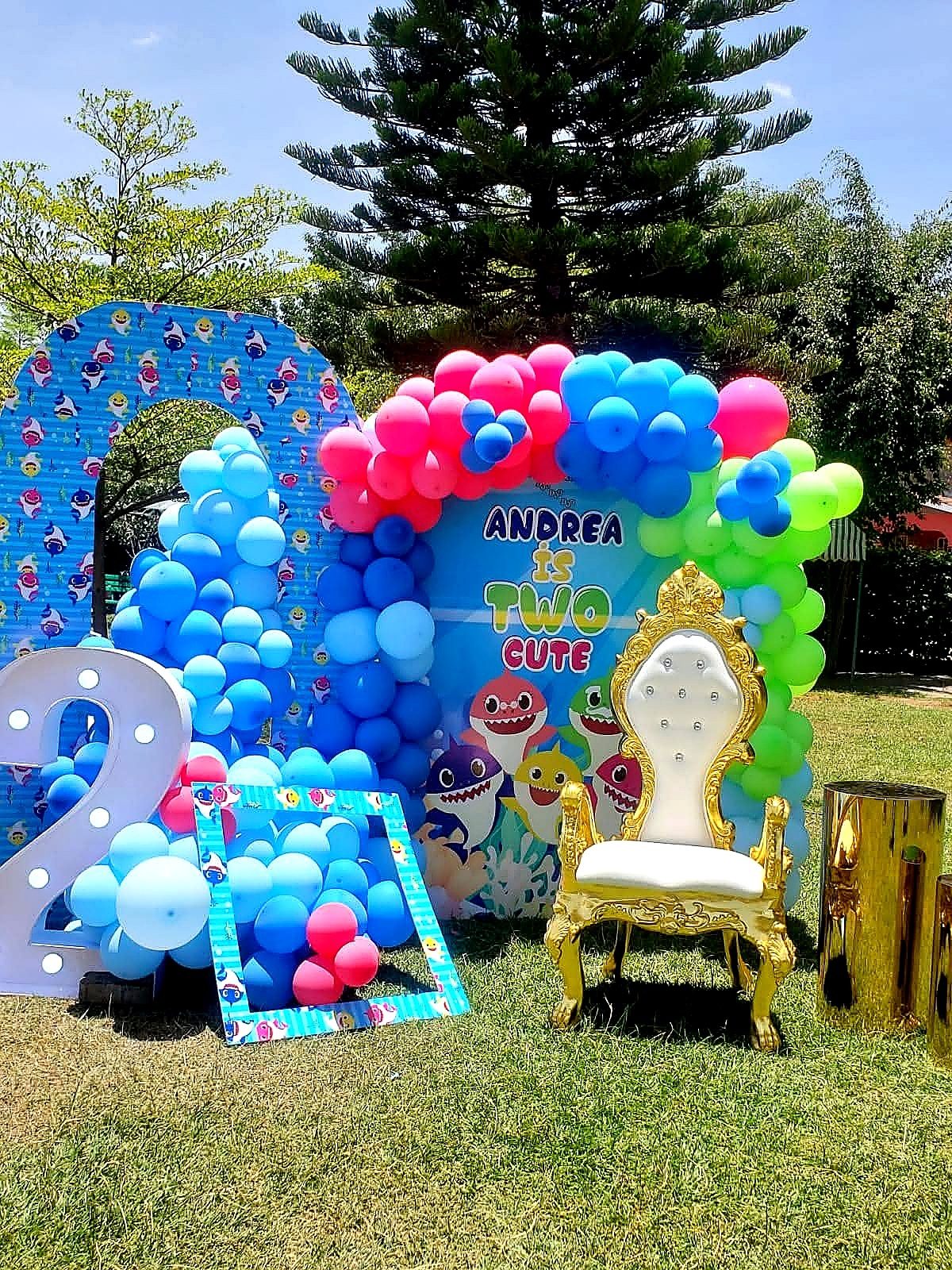 Throne Chairs for Hire for a kids birthday party in Nairobi