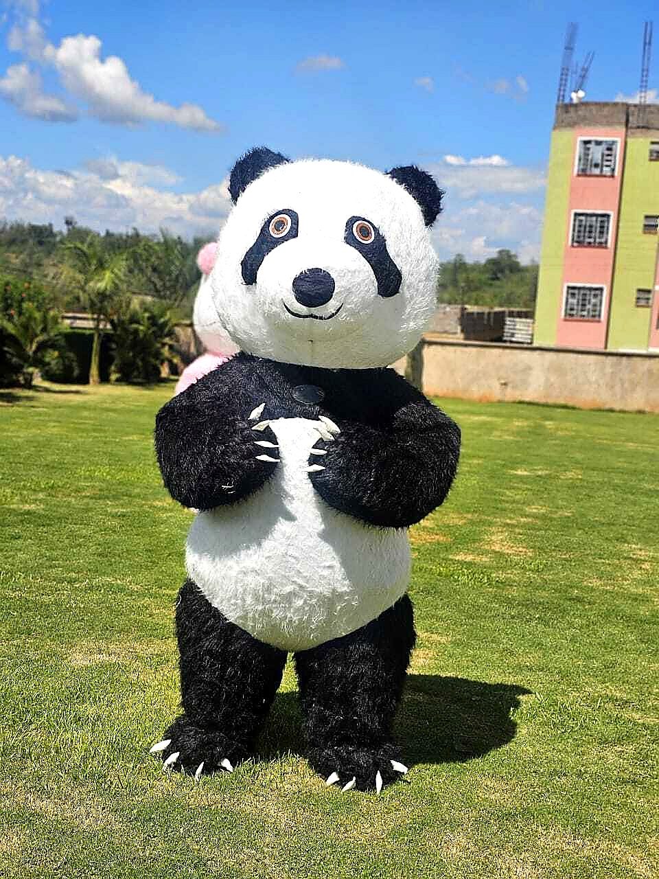 Mascots for Hire for a kids birthday party in Nairobi - view 5