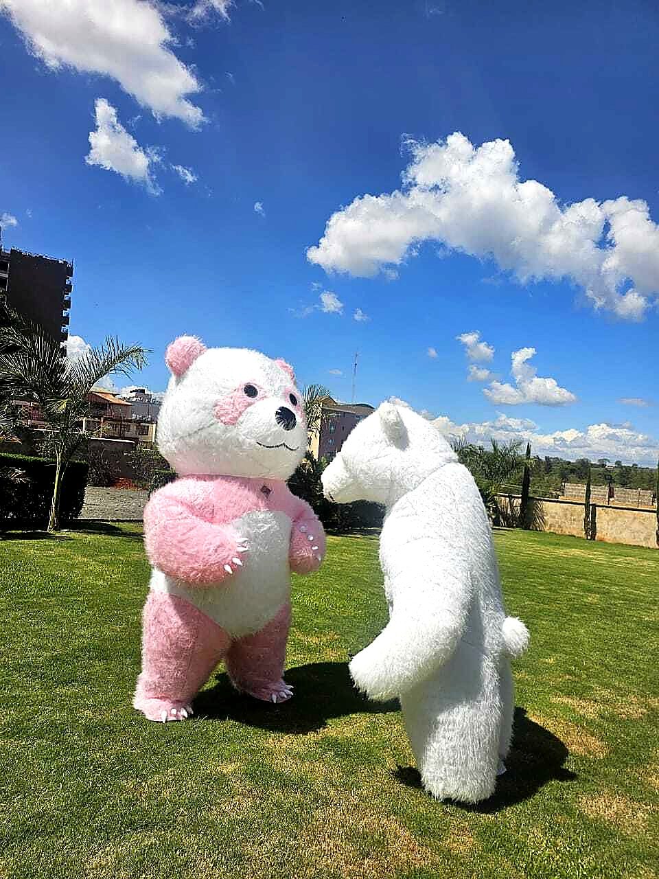 Mascots for Hire for a kids birthday party in Nairobi - view 6