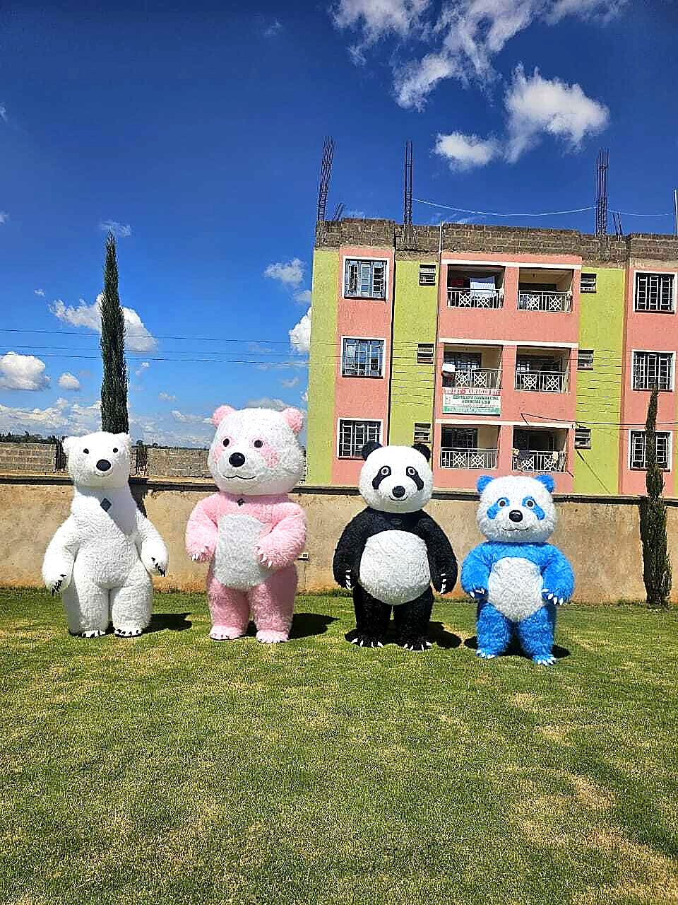 Mascots for Hire for a kids birthday party in Nairobi