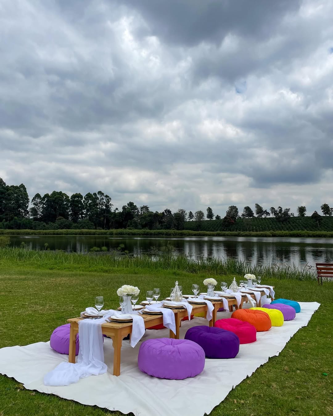 The All-Star Arena Outdoor Kids Picnic Setup - 15 Kids — kids picnic package setup in Nairobi