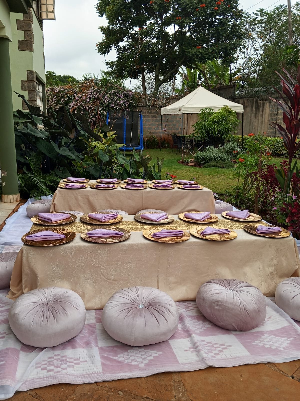 The Golden Gauntlet Kids Picnic Birthday Party - 20 Kids — kids picnic package setup in Nairobi - view 4