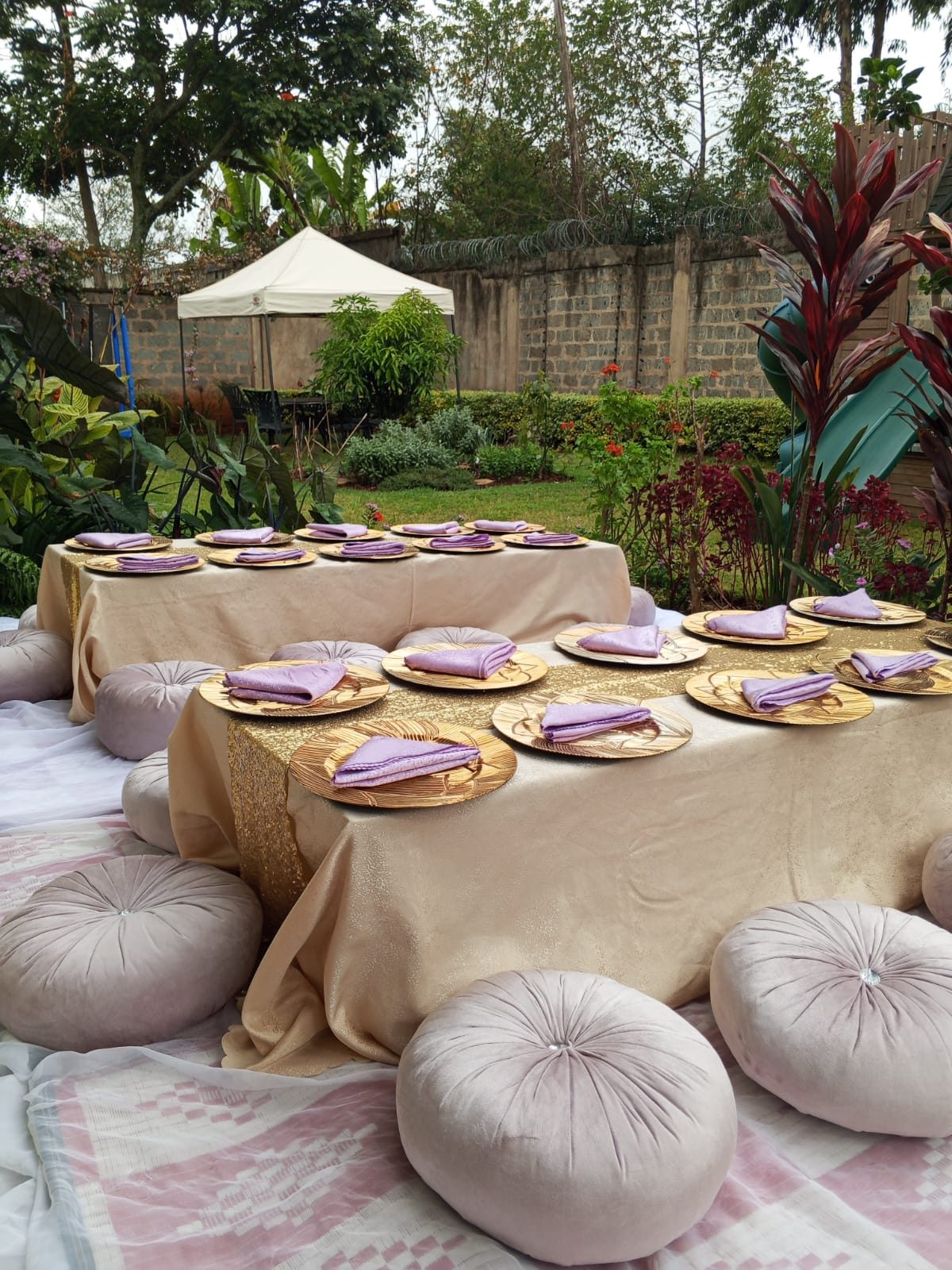 The Platinum Premiere Luxury Pallets & Pillows Kids Picnic Party - 25 Kids — kids picnic package setup in Nairobi - view 4