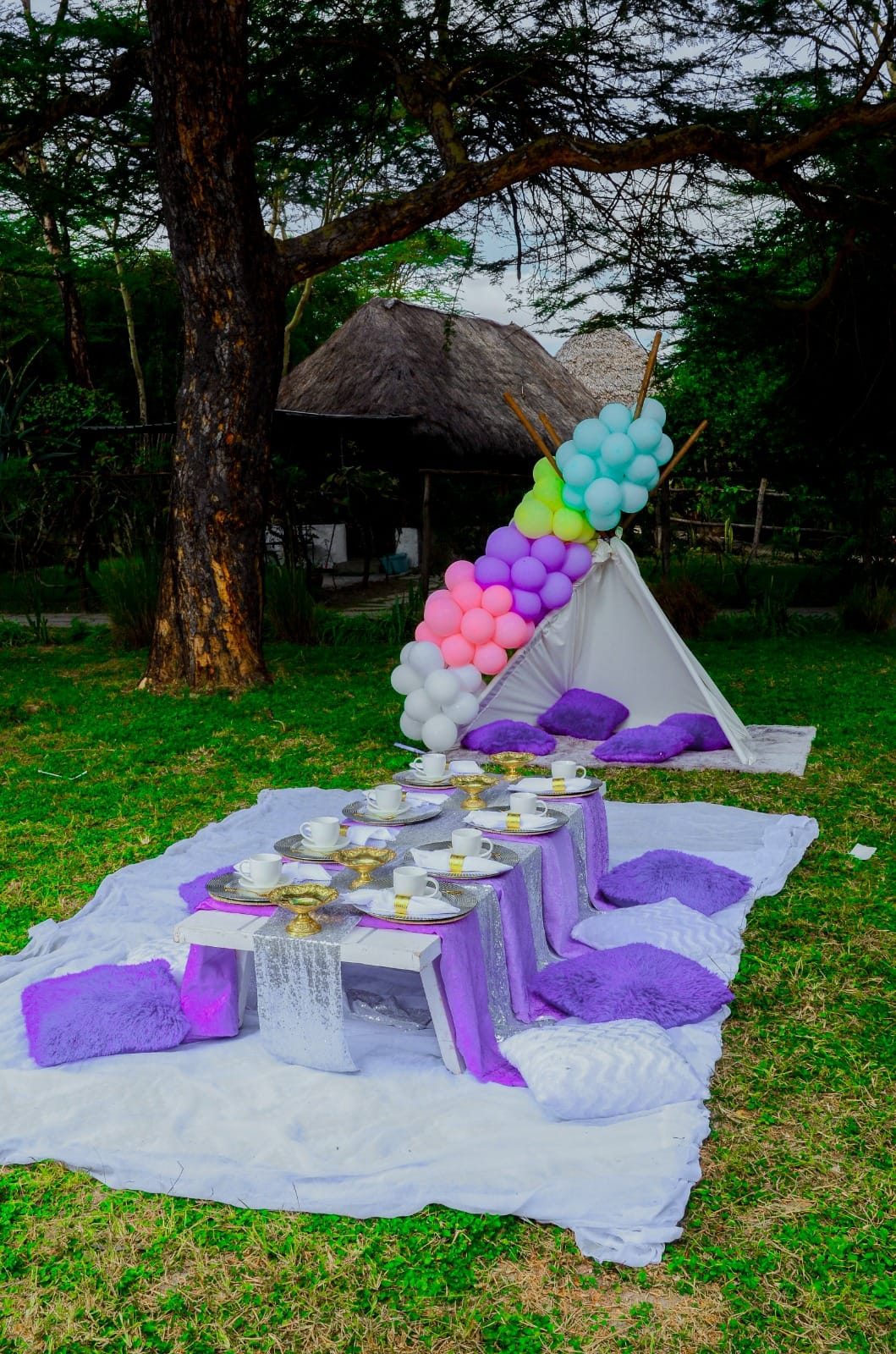The Bronze Elite Outdoor Themed Kids Picnic Party - 35 Kids — kids picnic package setup in Nairobi - view 3