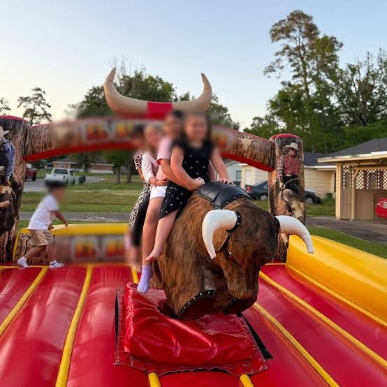 Mechanical Rodeo Bull for Hire for a kids birthday party in Nairobi - view 2