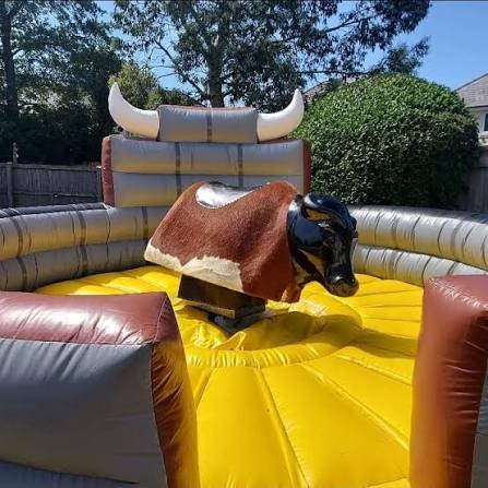 Mechanical Rodeo Bull for Hire for a kids birthday party in Nairobi - view 3