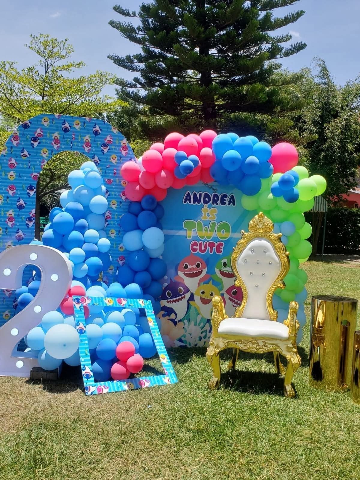 Throne Chairs for Hire for a kids birthday party in Nairobi - view 5