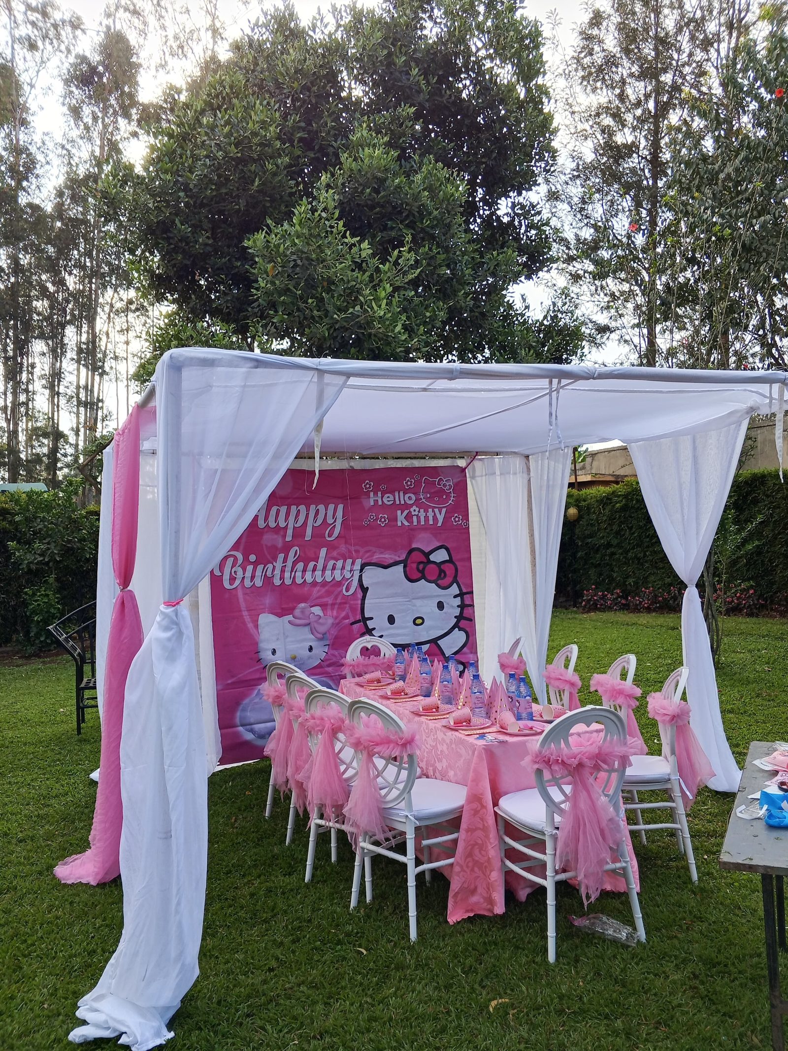Canopy Tent 3x3m for Hire – 20 Seater shading a kids birthday party in Nairobi