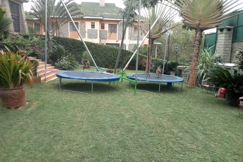 Star Jump (Bungee Trampoline) for Hire for a kids birthday party in Nairobi - view 2